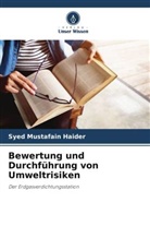 Syed Mustafain Haider - Bewertung und Durchführung von Umweltrisiken