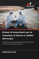 Subhashish Dey - Sintesi di biosorbenti per la rimozione di floruro e solfato dall'acqua