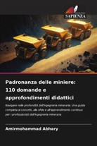 Amirmohammad Abhary - Padronanza delle miniere: 110 domande e approfondimenti didattici