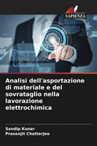 Prasenjit Chatterjee, Sandip Kunar - Analisi dell'asportazione di materiale e del sovrataglio nella lavorazione elettrochimica
