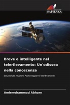 Amirmohammad Abhary - Breve e intelligente nel telerilevamento: Un'odissea nella conoscenza