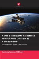 Amirmohammad Abhary - Curto e inteligente na deteção remota: Uma Odisseia do Conhecimento