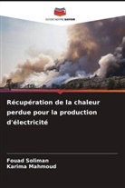 Karima Mahmoud, Fouad Soliman - Récupération de la chaleur perdue pour la production d'électricité