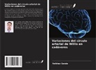 Vaibhav Sande - Variaciones del círculo arterial de Willis en cadáveres