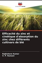 Rajkishore Kumar, V. P. Ramani - Efficacité du zinc et cinétique d'absorption du zinc chez différents cultivars de blé