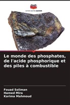 Karima Mahmoud, Hamed Mira, Fouad Soliman - Le monde des phosphates, de l'acide phosphorique et des piles à combustible