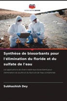 Subhashish Dey - Synthèse de biosorbants pour l'élimination du floride et du sulfate de l'eau