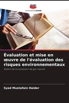 Syed Mustafain Haider - Évaluation et mise en oeuvre de l'évaluation des risques environnementaux