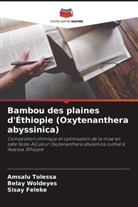 Sisay Feleke, Amsalu Tolessa, Belay Woldeyes - Bambou des plaines d'Éthiopie (Oxytenanthera abyssinica)