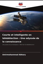 Amirmohammad Abhary - Courte et intelligente en télédétection : Une odyssée de la connaissance