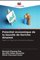 Micah Cheruiyot Keter, Wycliffe Habel Namwiba, Bernard Kipsang Rop - Potentiel économique de la bauxite de Kericho Ainamoi