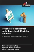 Micah Cheruiyot Keter, Wycliffe Habel Namwiba, Bernard Kipsang Rop - Potenziale economico della bauxite di Kericho Ainamoi