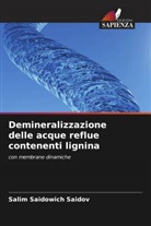 Salim Saidowich Saidov - Demineralizzazione delle acque reflue contenenti lignina