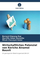 Keter, Micah Cheruiyot Keter, Wycliffe Habel Namwiba, Bernard Kipsang Rop - Wirtschaftliches Potenzial von Kericho Ainamoi Bauxit