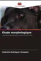 Gabriela Rodrigues Sampaio - Étude morphologique