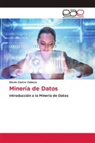 Dionis Castro Cabeza - Minería de Datos