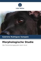 Gabriela Rodrigues Sampaio - Morphologische Studie