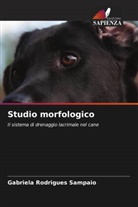 Gabriela Rodrigues Sampaio - Studio morfologico