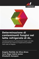 Cyro Rêgo Cabral junior, Elizabeth Sampaio, Angela Matilde da Silva Alves - Determinazione di contaminanti fungini nel latte refrigerato di AL.