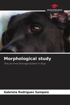 Gabriela Rodrigues Sampaio - Morphological study