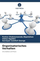 Festus Chukwunwendu Akpotohwo, Ge, Surveyor Comfort George, Cletus Ogeibiri - Organisatorisches Verhalten