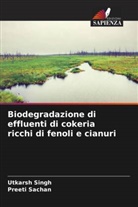 Preeti Sachan, Utkarsh Singh - Biodegradazione di effluenti di cokeria ricchi di fenoli e cianuri