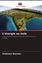 Prabhakar Bhandari - L'énergie en Inde