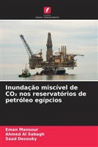 Ahmed Al Sabagh, Saad Desouky, Eman Mansour - Inundação miscível de CO2 nos reservatórios de petróleo egípcios