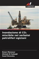 Ahmed Al Sabagh, Saad Desouky, Eman Mansour - Inondazione di CO2 miscibile nei serbatoi petroliferi egiziani