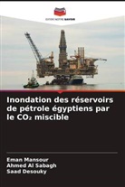 Ahmed Al Sabagh, Saad Desouky, Eman Mansour - Inondation des réservoirs de pétrole égyptiens par le CO2 miscible