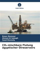 Ahmed Al Sabagh, Saad Desouky, Eman Mansour - CO2-mischbare Flutung ägyptischer Ölreservoirs