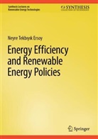 Neyre Tekb¿y¿k Ersoy, Neyre Tekbiyik Ersoy - Energy Efficiency and Renewable Energy Policies
