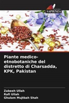 Ghulam Mujtbah Shah, Rafi Ullah, Zabeeh Ullah - Piante medico-etnobotaniche del distretto di Charsadda, KPK, Pakistan