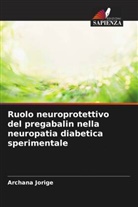 Archana Jorige - Ruolo neuroprotettivo del pregabalin nella neuropatia diabetica sperimentale