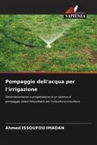 Ahmed Issoufou Imadan - Pompaggio dell'acqua per l'irrigazione