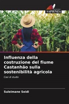 Suleimane Seidi - Influenza della costruzione del fiume Castanhão sulla sostenibilità agricola