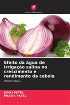 Janki Patel, Pratik Patel - Efeito da água de irrigação salina no crescimento e rendimento da cebola