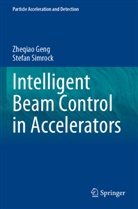 Zheqiao Geng, Stefan Simrock - Intelligent Beam Control in Accelerators