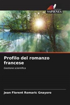Jean Florent Romaric Gnayoro - Profilo del romanzo francese