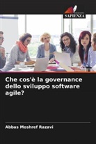 Abbas Moshref Razavi - Che cos'è la governance dello sviluppo software agile?