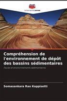 Somasankara Rao Koppisetti - Compréhension de l'environnement de dépôt des bassins sédimentaires