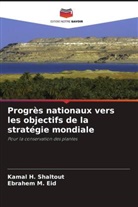 Ebrahem M. Eid, Kamal H. Shaltout - Progrès nationaux vers les objectifs de la stratégie mondiale