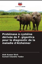 Alok Kumar Dixit, Suresh Chandra Yadav - Protéinase à cystéine dérivée de F. gigantica pour le diagnostic de la maladie d'Alzheimer