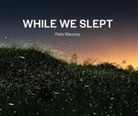 Pete Mauney - While We Slept
