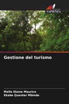 Melle Ekane Maurice, Ekabe Quenter Mbinde - Gestione del turismo