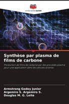 Argemiro S. Argemiro S., Douglas M. G. Leite, Armstrong Godoy Junior - Synthèse par plasma de films de carbone