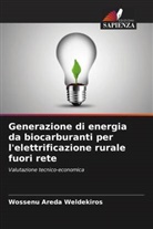 Wossenu Areda Weldekiros - Generazione di energia da biocarburanti per l'elettrificazione rurale fuori rete