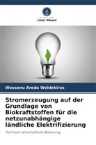 Wossenu Areda Weldekiros - Stromerzeugung auf der Grundlage von Biokraftstoffen für die netzunabhängige ländliche Elektrifizierung