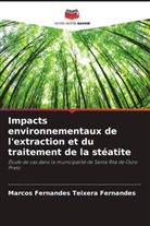 Marcos Fernandes Teixera Fernandes - Impacts environnementaux de l'extraction et du traitement de la stéatite