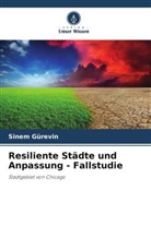 Sinem Gürevin - Resiliente Städte und Anpassung - Fallstudie